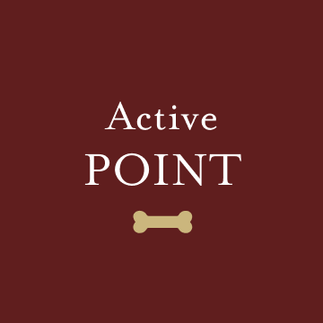 Active POINT
