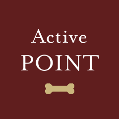 Active POINT