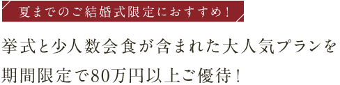 挙式と少人数会食が含まれた大人気プランを期間限定で80万円以上ご優待！